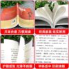 呐喊鲁迅正版中小学生课外阅读书籍高中人民文学出版社 - Image 3